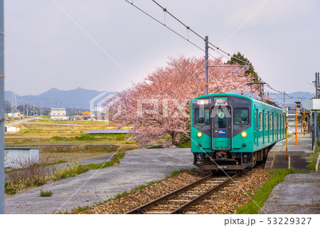 JR西日本 加古川線、青野ケ原駅の桜風景(兵庫県小野市)※作品コメント欄に撮影位置 JR西日本 加古川線、青野ケ原駅の桜風景(兵庫県小野市)※作品コメント欄に撮影位置 53229327