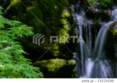 元滝伏流水 元滝伏流水 53229380