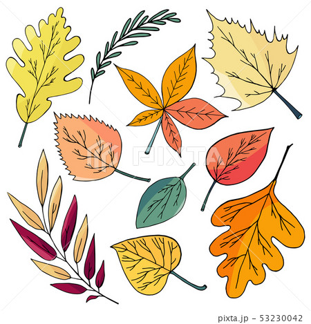 Основные RGB 53230042