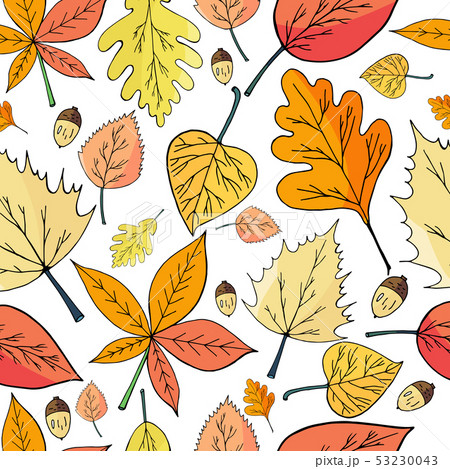 Основные RGB 53230043