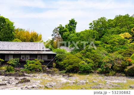 新緑の楽寿園 新緑の楽寿園 53230882