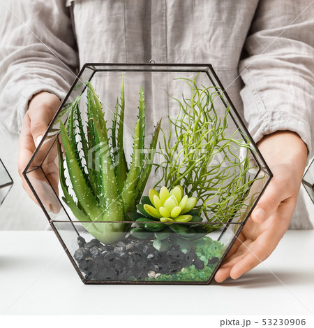 Woman holding glass florarium 53230906