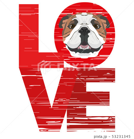 Love English Bulldog 53231345