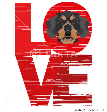 Love Dachshund 53231364
