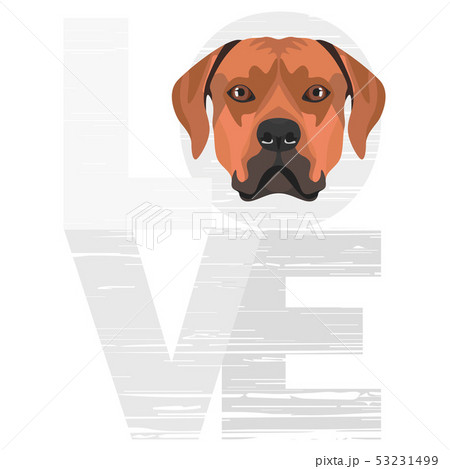 Love Rhodesian Ridgeback Love Rhodesian Ridgeback 53231499