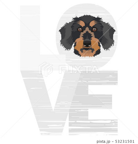 Love Dachshund Love Dachshund 53231501