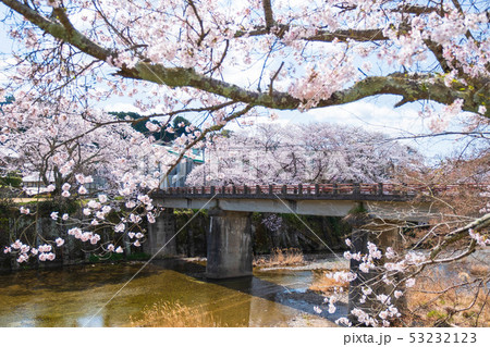 京都府和束町の桜のある風景 祝橋 京都府和束町の桜のある風景 祝橋 53232123