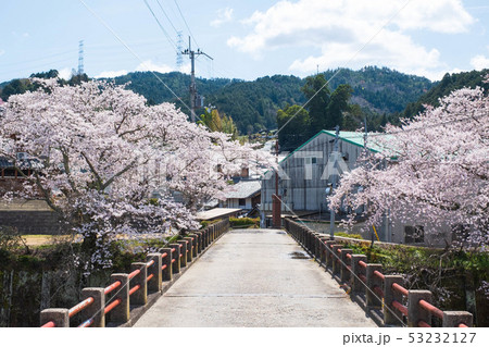 京都府和束町の桜のある風景　祝橋　 53232127
