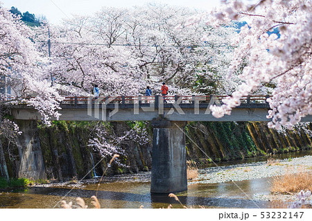 京都府和束町の桜のある風景 祝橋 京都府和束町の桜のある風景 祝橋 53232147