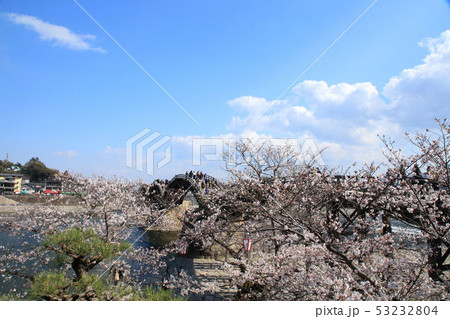 錦帯橋 53232804