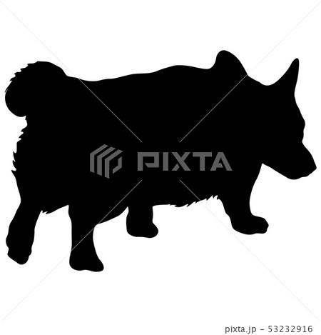 Welsh Corgi dog silhouette on a white background 53232916