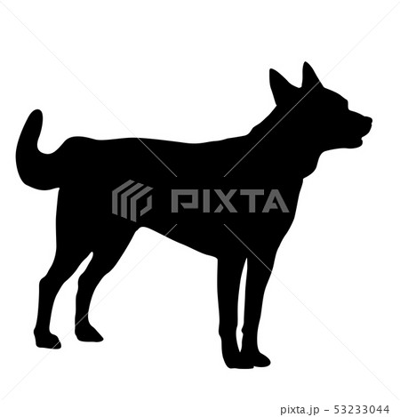 Shepherd dog silhouette on a white background 53233044