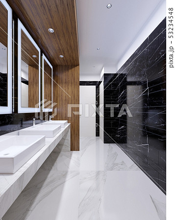 Modern public toilet in contemporary style with a 53234548