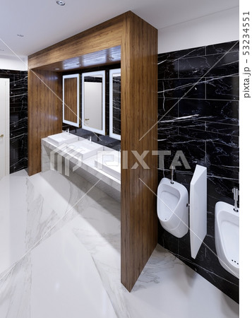 Modern public toilet in contemporary style with a 53234551