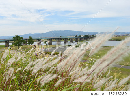 河川敷 河川敷 53238280