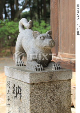 白山宮の狛犬（久山町） 53238346