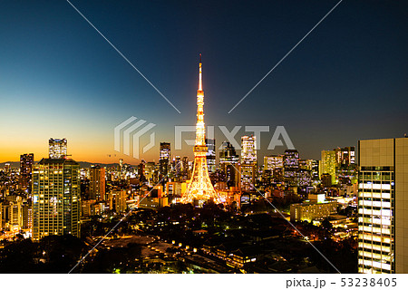 東京タワーと増上寺の夜景 東京タワーと増上寺の夜景 53238405