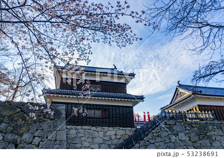 春の上田城 満開の桜 長野県上田市 春の上田城 満開の桜 長野県上田市 53238691