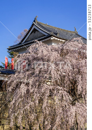 春の上田城 満開の桜 長野県上田市 春の上田城 満開の桜 長野県上田市 53238713