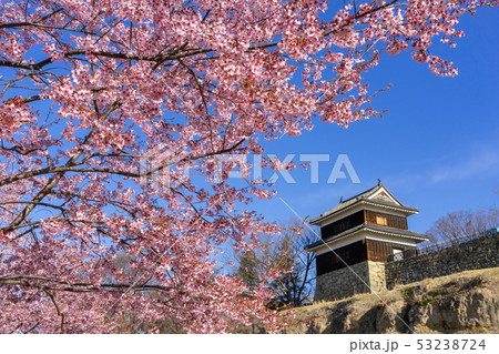 春の上田城 満開の桜 長野県上田市 春の上田城 満開の桜 長野県上田市 53238724