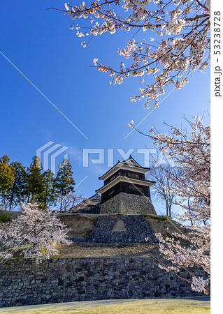 春の上田城 満開の桜 長野県上田市 春の上田城 満開の桜 長野県上田市 53238728