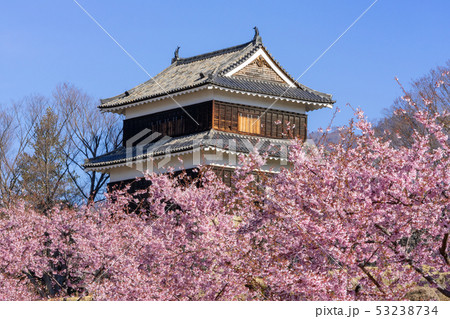 春の上田城 満開の桜 長野県上田市 春の上田城 満開の桜 長野県上田市 53238734
