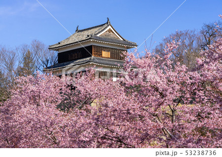 春の上田城 満開の桜 長野県上田市 春の上田城 満開の桜 長野県上田市 53238736