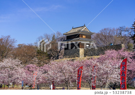 春の上田城 満開の桜 長野県上田市 春の上田城 満開の桜 長野県上田市 53238738