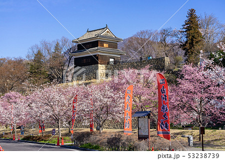 春の上田城 満開の桜 長野県上田市 春の上田城 満開の桜 長野県上田市 53238739