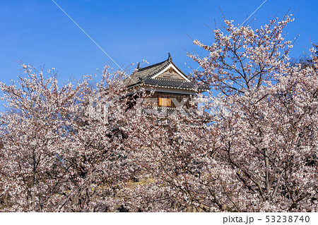 春の上田城 満開の桜 長野県上田市 春の上田城 満開の桜 長野県上田市 53238740