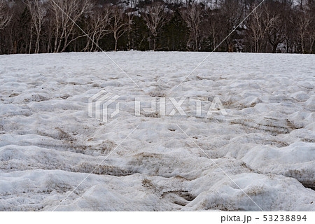 雪解けの雪原 53238894