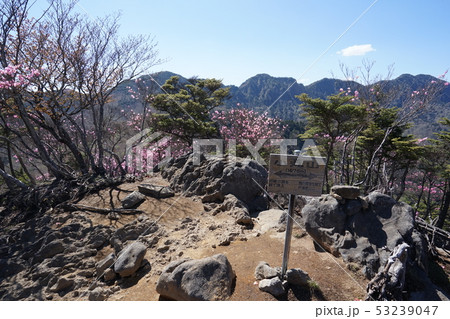 群馬県みどり市 日本三百名山の袈裟丸山の折場登山口からの登山道 小丸山山頂の写真素材