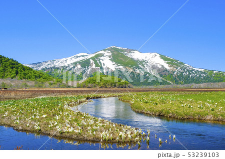 水芭蕉と至仏山2 水芭蕉と至仏山2 53239103