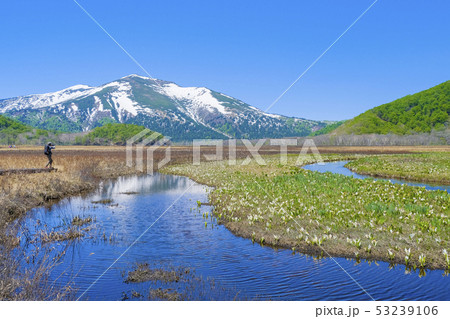 水芭蕉と至仏山とカメラマン 53239106