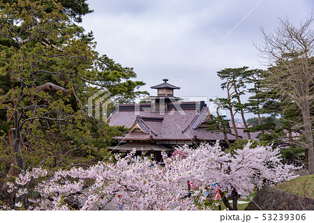 北海道　函館　五稜郭公園　復元された箱館奉行所と桜 53239306