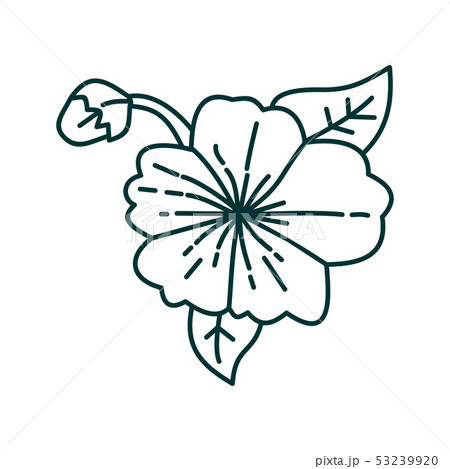 Flower Leaf Illustration Design Template Vector Flower Leaf Illustration Design Template Vector 53239920
