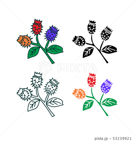 Flower Leaf Illustration Design Template Vector 53239921