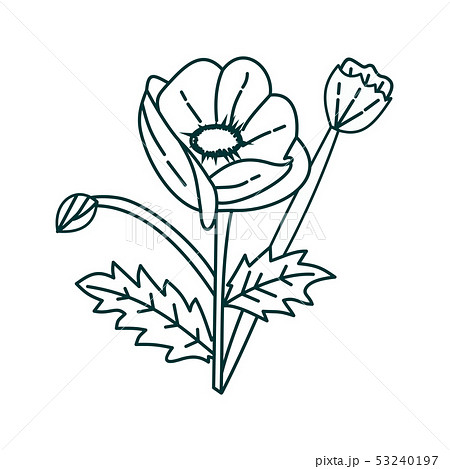 Flower Leaf Illustration Design Template Vector Flower Leaf Illustration Design Template Vector 53240197
