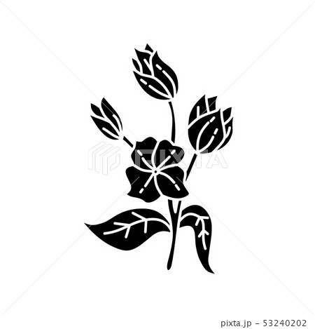 Flower Leaf Illustration Design Template Vector 53240202