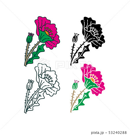 Flower Leaf Illustration Design Template Vector 53240288
