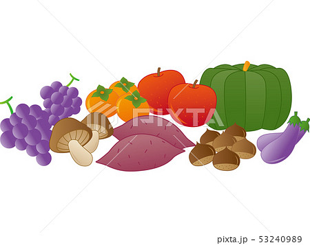 秋の野菜のイラスト素材
