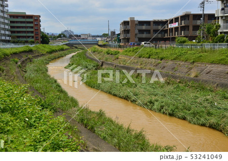 大雨の後の湯殿川　八王子市 53241049
