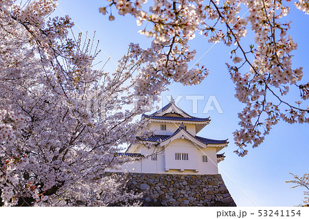 【山梨県】甲府城　稲荷櫓と満開の桜 53241154