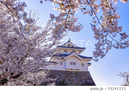 【山梨県】甲府城　稲荷櫓と満開の桜 53241155