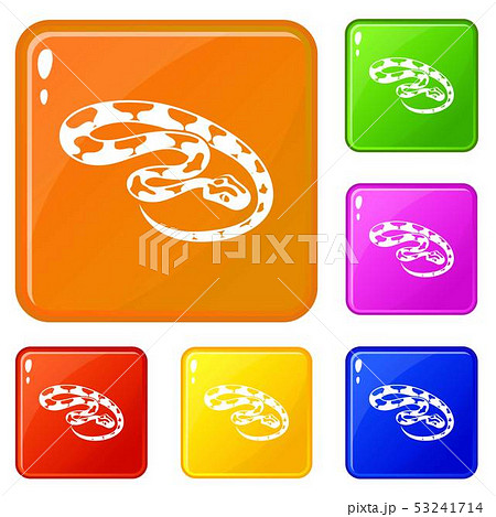 King snake icons set vector color 53241714