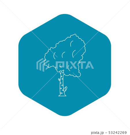 Birch tree icon, outline style Birch tree icon, outline style 53242269