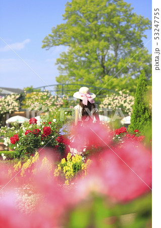 あしかがフラワーパーク バラと女性 あしかがフラワーパーク バラと女性 53247755