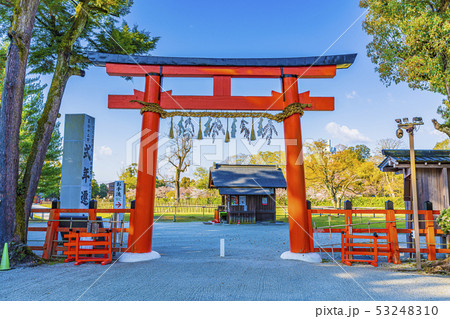 京都　春の上賀茂神社　二の鳥居　 53248310