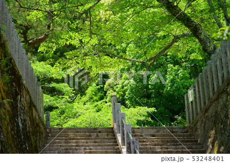 奈良 松尾寺 階段の写真素材