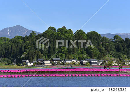 越前大野城 全景 越前大野城 全景 53248585